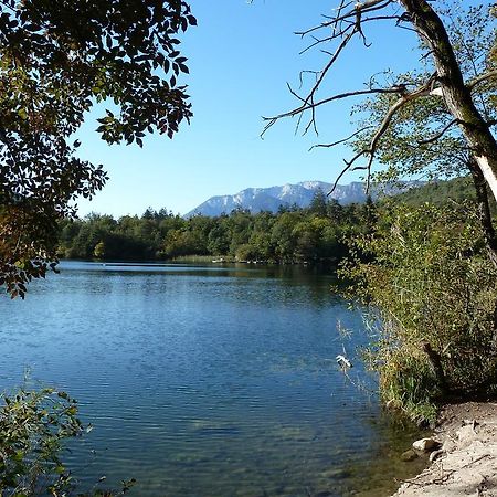 Ansitz Weissenheim Διαμέρισμα Appiano Sulla Strada Del Vino Εξωτερικό φωτογραφία
